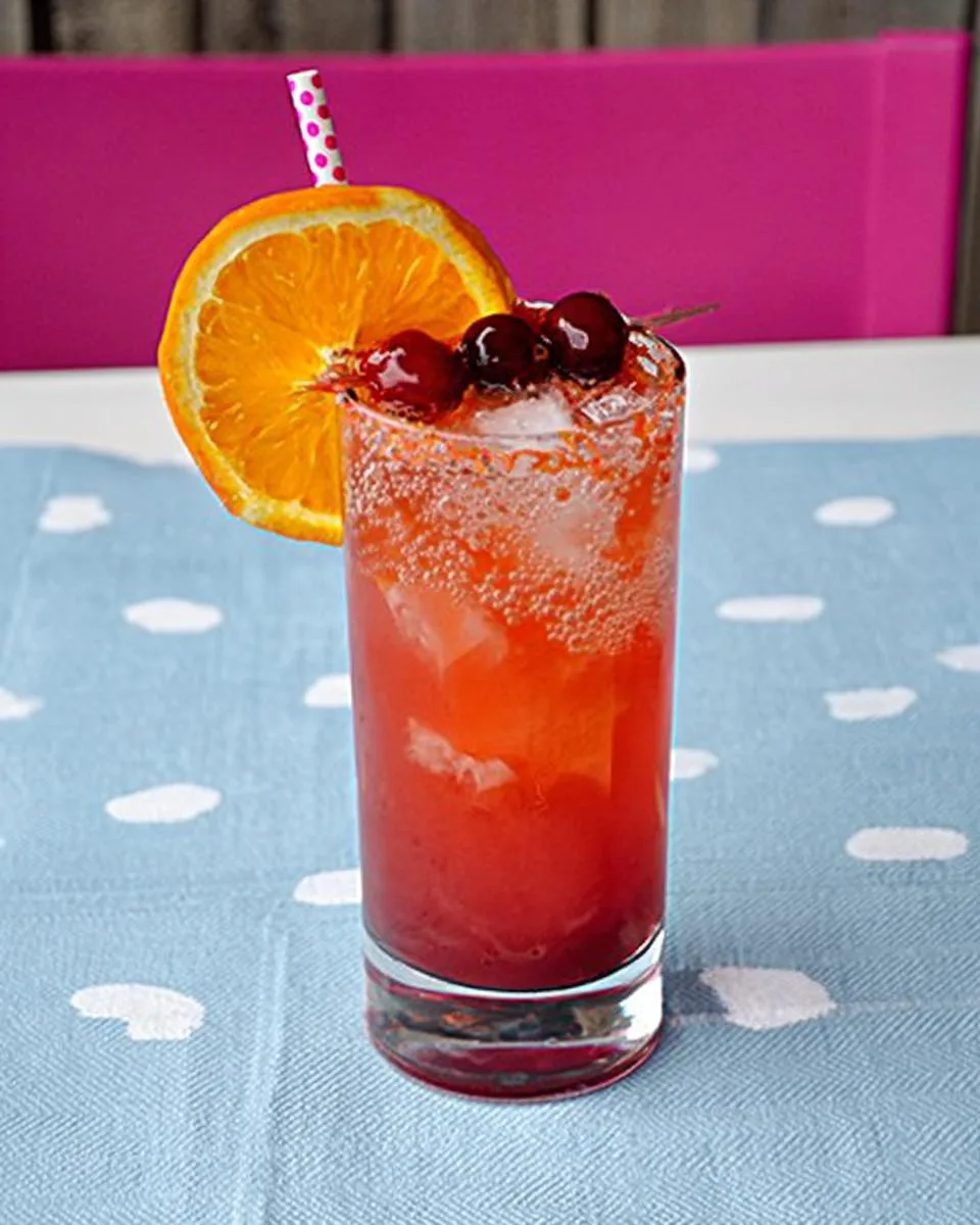 Cranberry Orange Juice Mocktail - detail 3