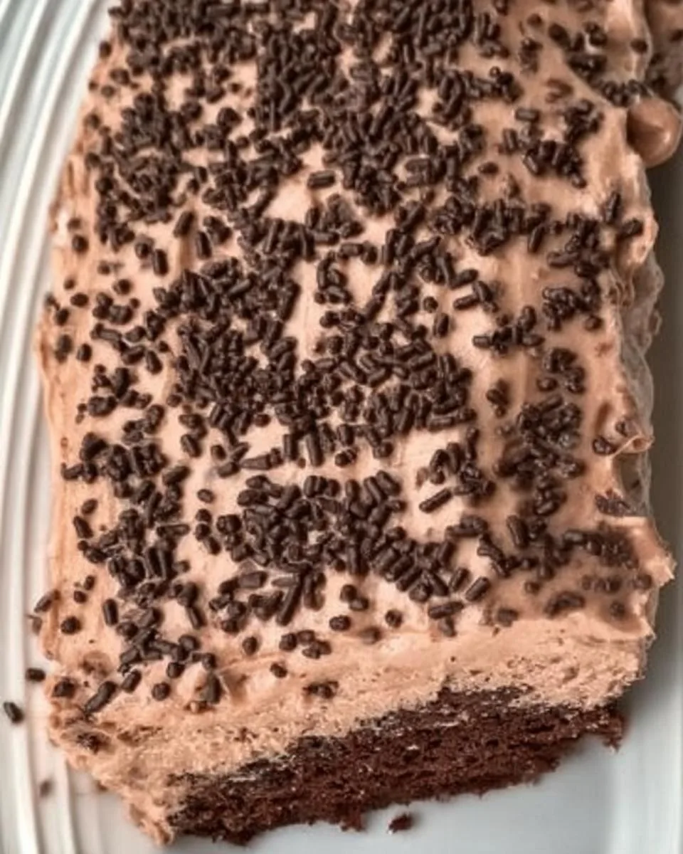 Skinny Chocolate Cake - detail 3