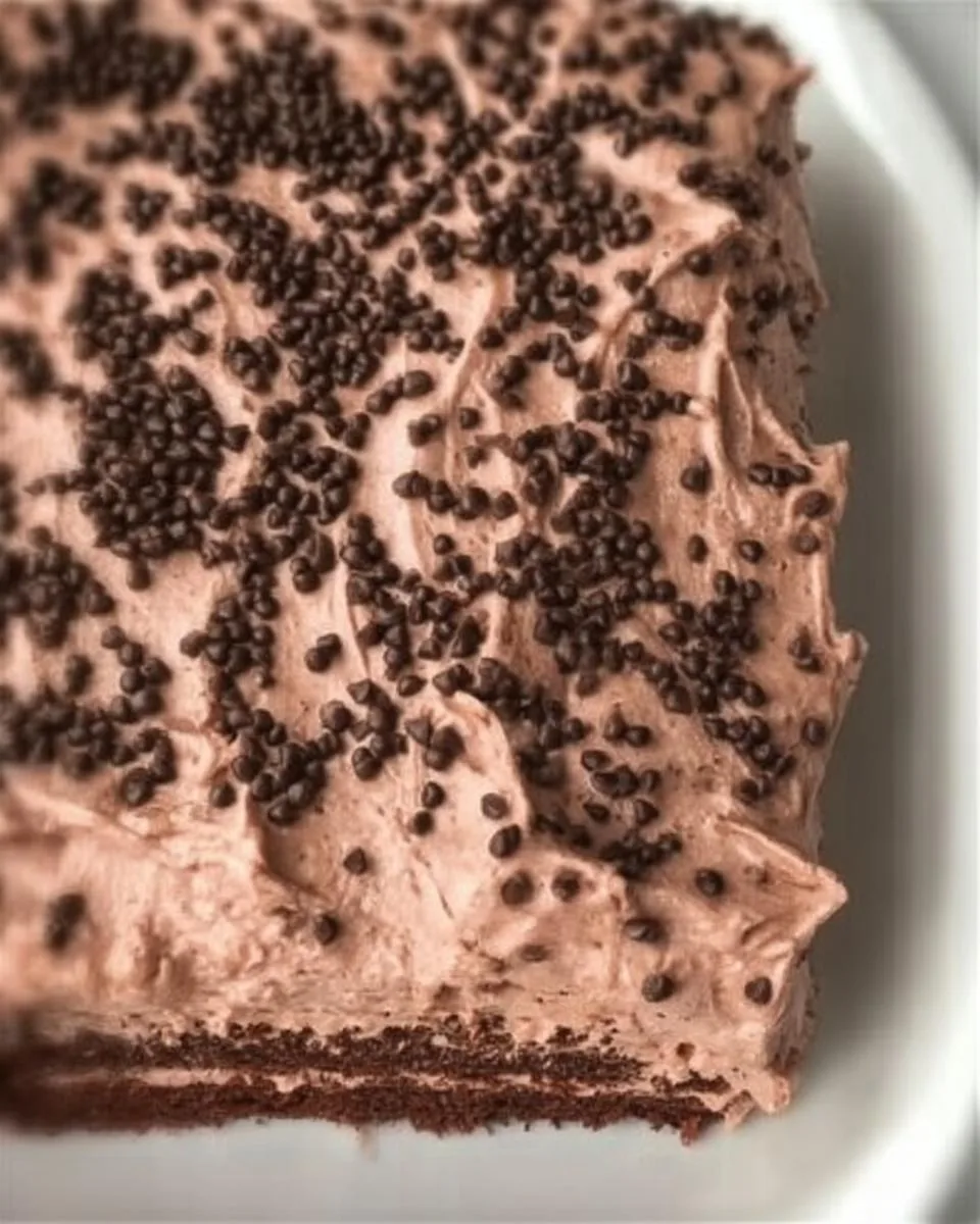 Skinny Chocolate Cake - detail 4